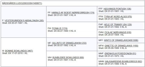 Bådsgårds Ludo - Afstamning