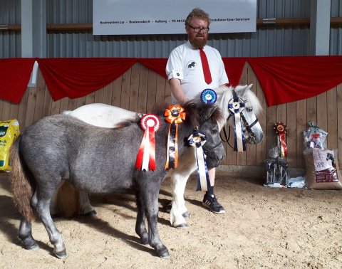 Bådsgårds Bella og Benedikte Bomlund i Sulsted 2020