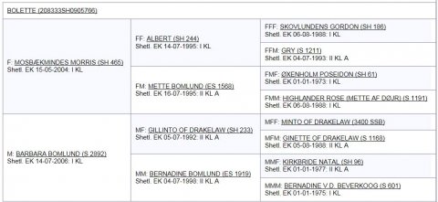 Bolette's afstamning