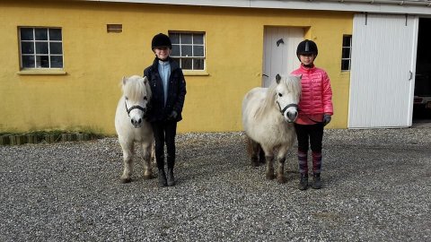 Skovlundens Juliet og Birchmore Linnet