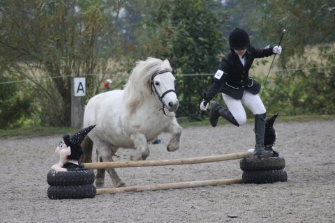 Bjerregaards Annabel