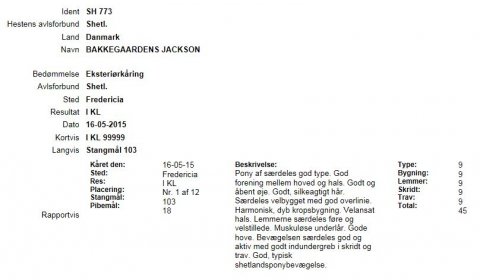 Bakkegaardens Jacksons kåringsbeskrivelse