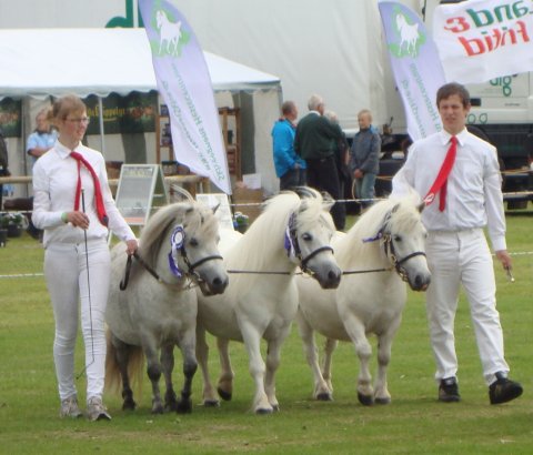 Skimmelsamling - hopperne