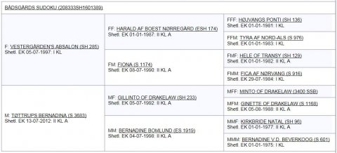 Bådsgårds Sudoku's afstamning