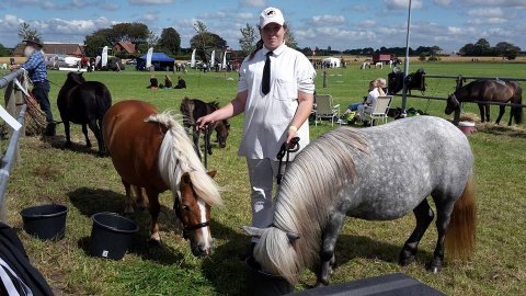 Beauty, Signe og Fione