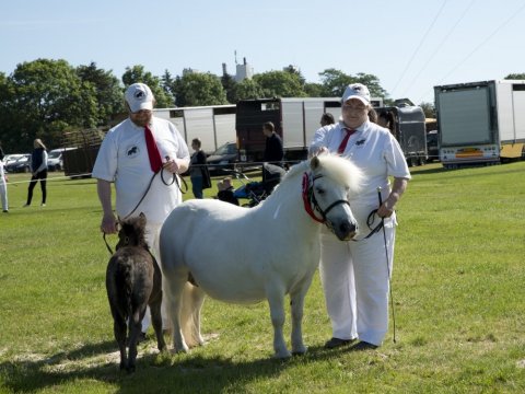 Benedikte Bomlund - 2017