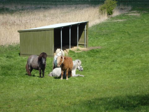 Sommeridyl Sommeridyl