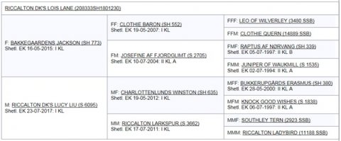 Riccalton DK's Lois Lane - Marts 2021