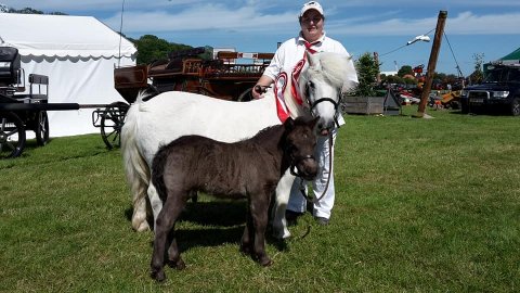 Benedikte Bomlund og Bådsgårds Bomus