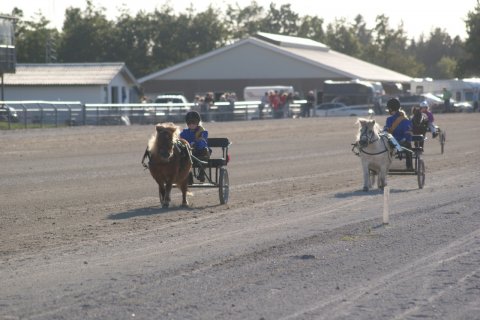 Line og Merrylegs Line og Merrylegs